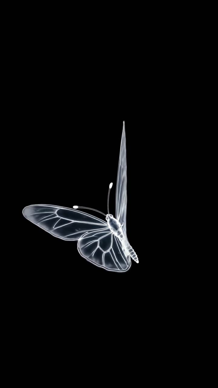 A transparent butterfly with glowing edges on a black background, captured from a side angle