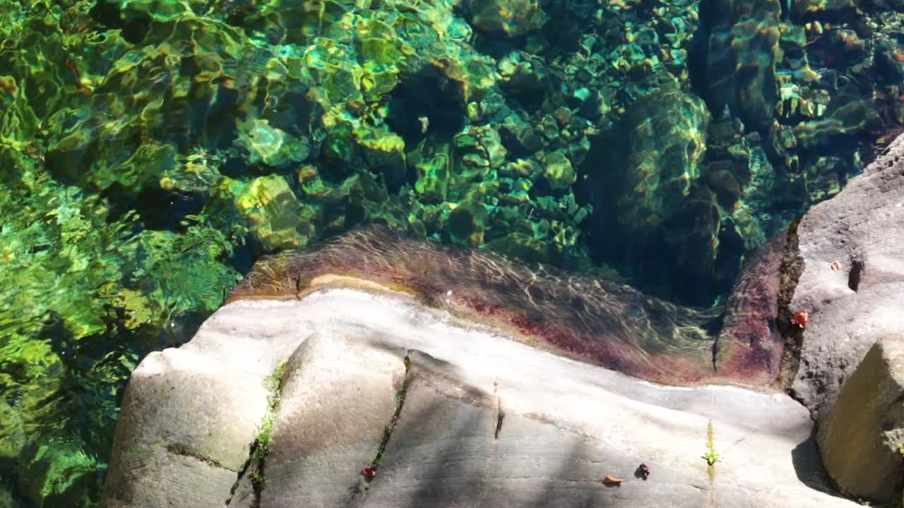 Clear water flowing next to a rock