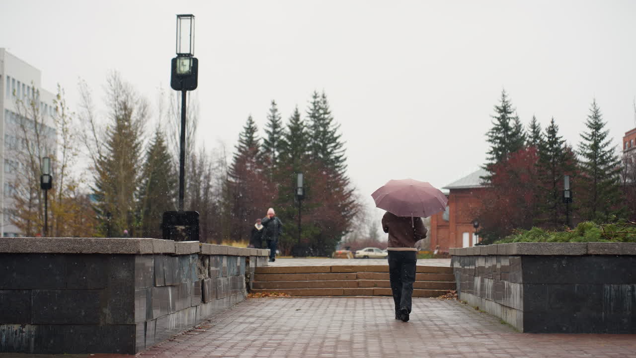 Back shot of female walking in light snowfall, holding umbrella, wearing knit cap, brown shearling jacket, black trousers, one hand in pocket, autumn leaves scattered on ground, enjoying winter