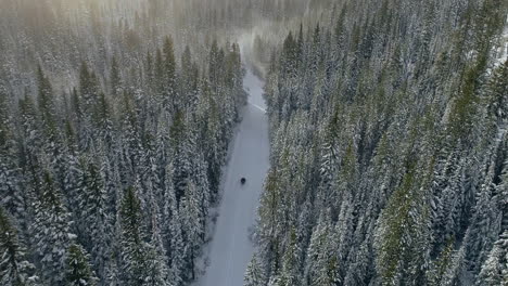 在空旷的森林道路上驾驶雪地摩托车的空中拍摄, 4k