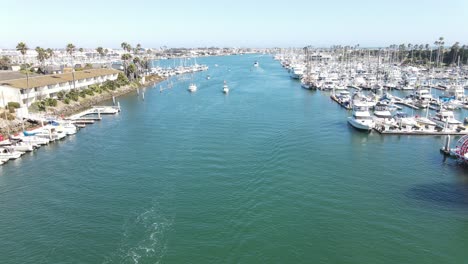 sunny summer day in busy marina