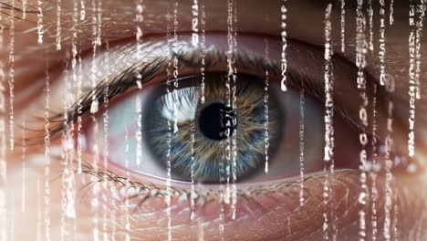 exploring the intricacies of perception: a close-up of an eye surrounded by cascading digital data representations reflecting technological integration