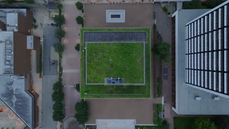 green roof of downtown mid rise skyscraper in american city