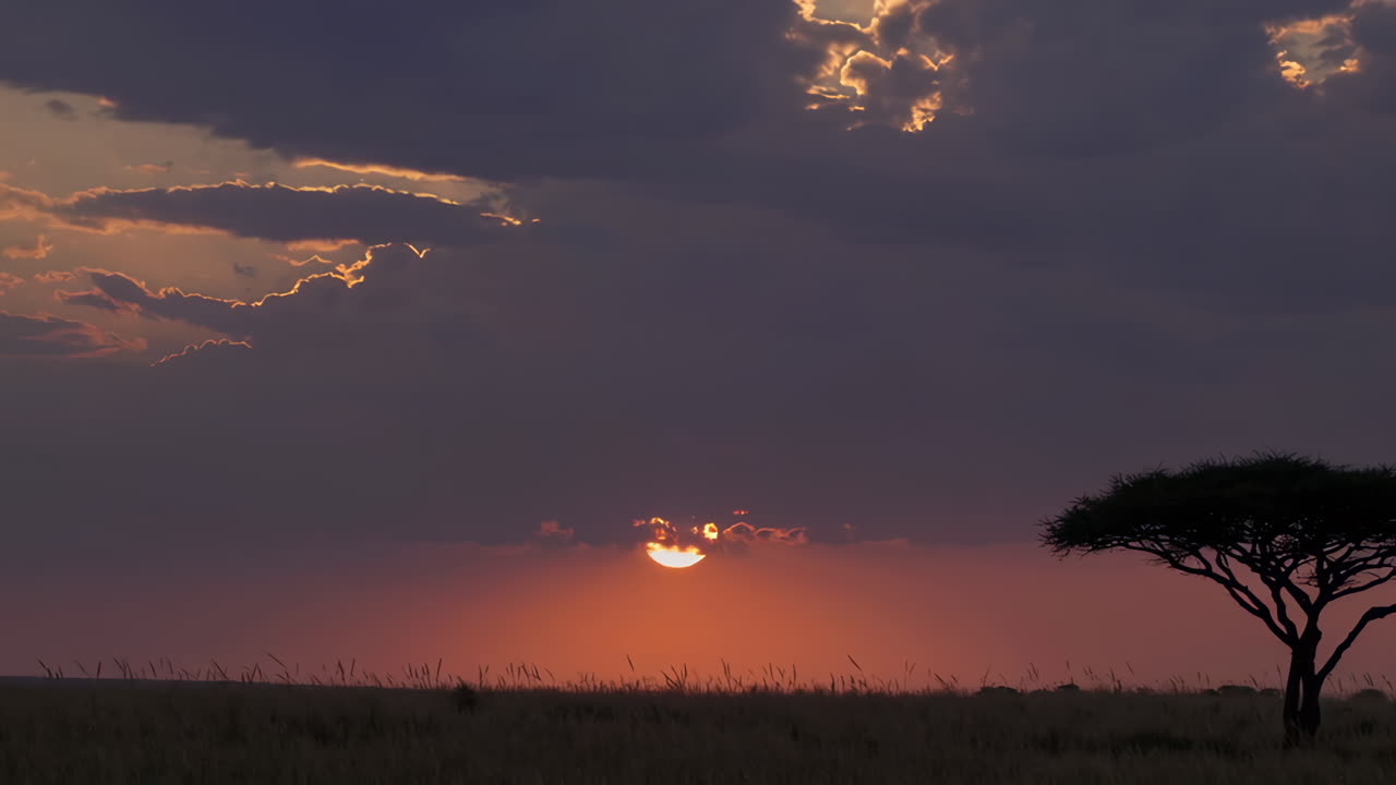 el atardecer africano sobre la sabana