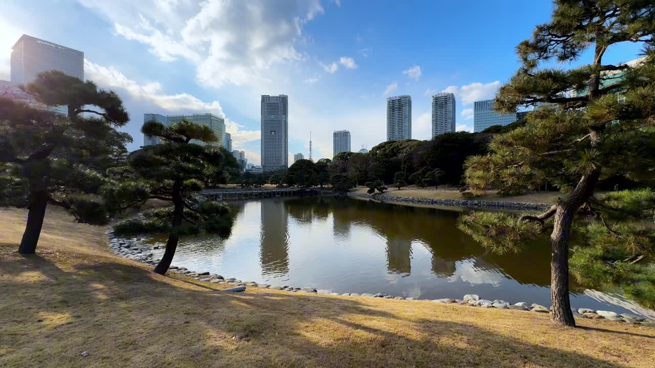 A tranquil park scene in Tokyo, with trees, a pond, and modern buildings in view