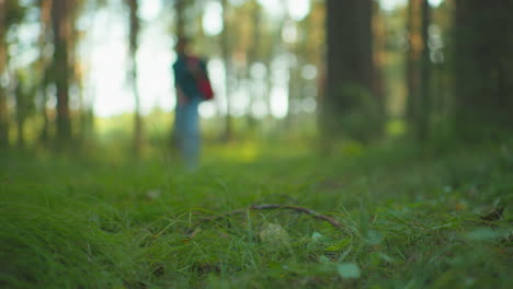 blurred figure walking through lush green forest with tall grass in focus, capturing forest floor details and warm sunlight filtering through trees