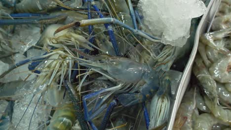 fresh river prawns on ice at thailand asian local street fish market for sale