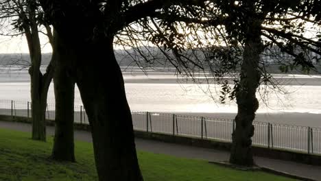 árboles de paralaje del parque urbano frente al mar en el centro de la ciudad con vistas al canal fluvial al amanecer