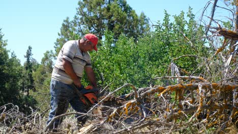 Holzfäller,-Der-Mit-Der-Kettensäge-Schneidet