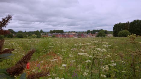 UK-house-building-development-work-over-green-fields-and-trees