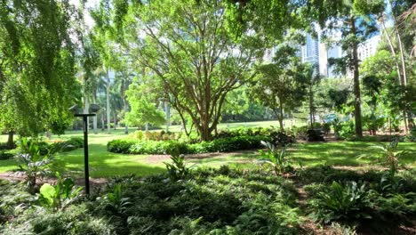 lush green park with changing sunlight