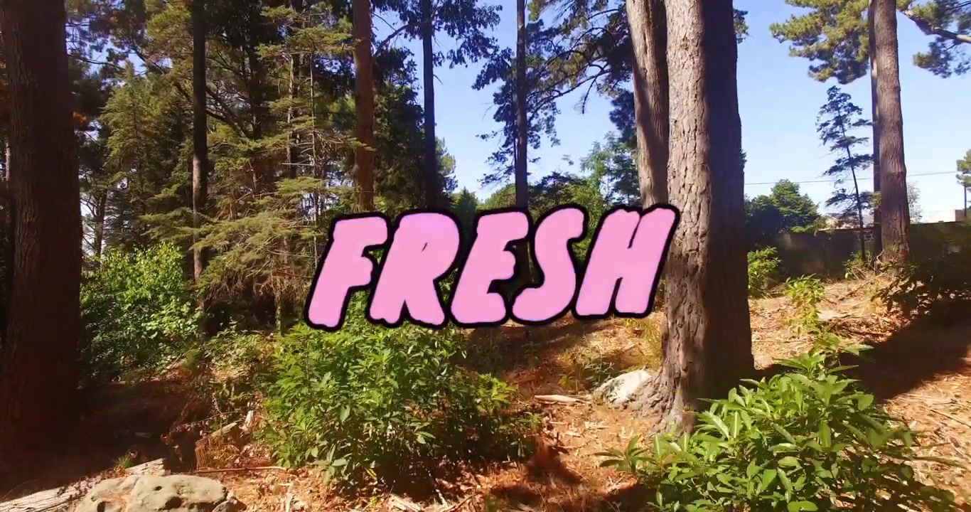«FRESH»-grafikk skifter farger og drypper i en furuskog, kamerabevegelse avslører vei for annonser.
