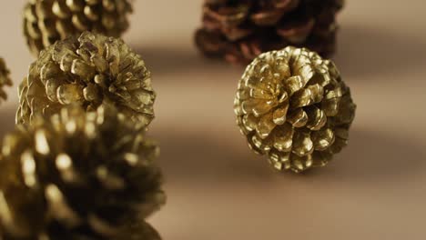 video of pine cones lying on beige surface