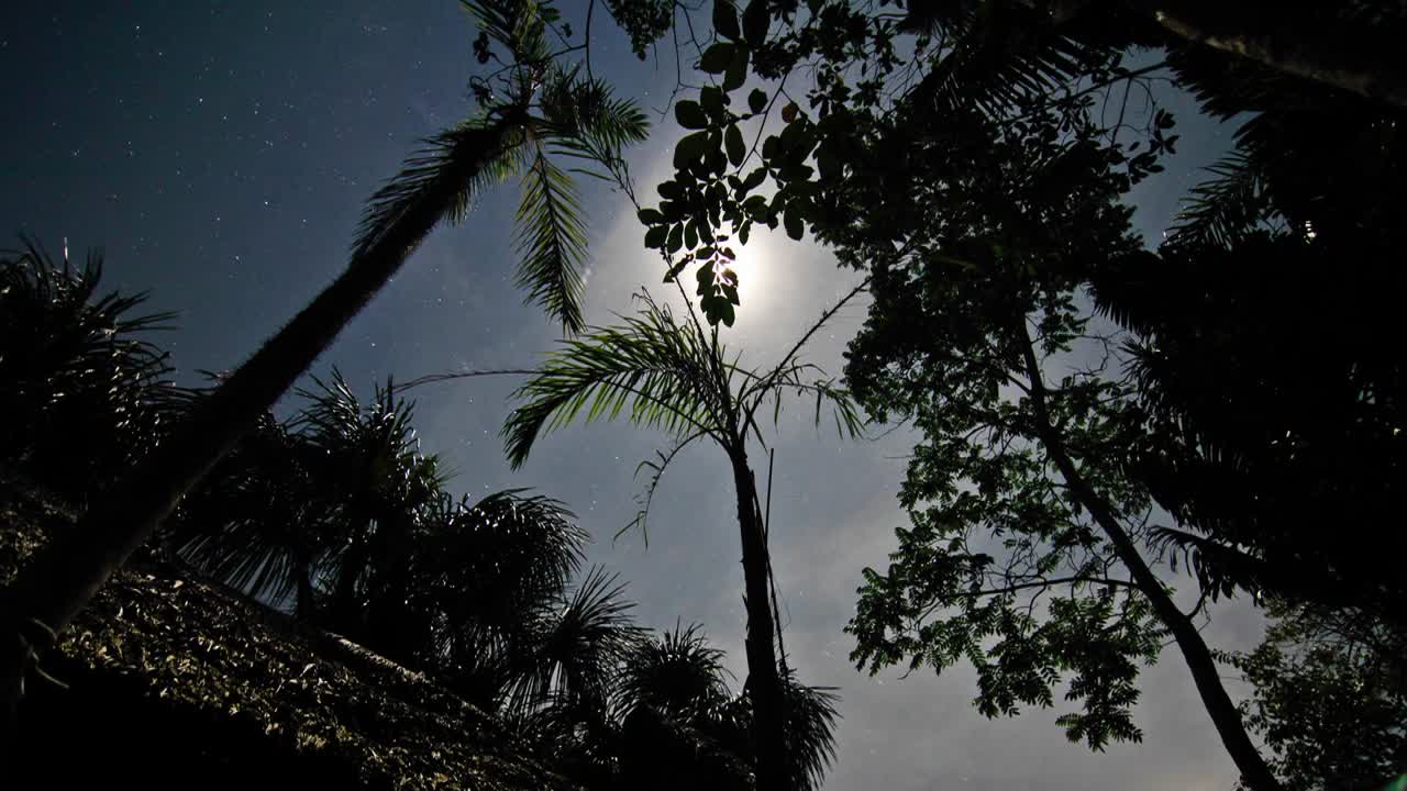 la luna pasa por encima de los árboles