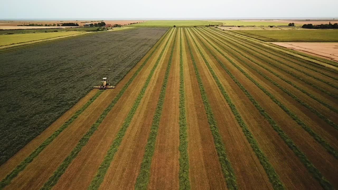 Ripresa con drone che si tuffa su una falciatrice che taglia un campo di fieno.