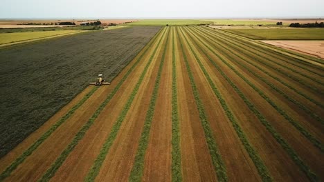 drone shot diving in on a mower cutting a field of hay
