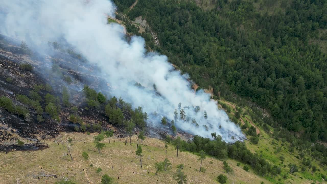 Aerial View of a Devastating Forest Fire