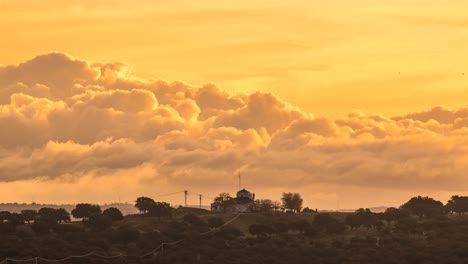 Trees-near-clouds-at-sunset-sky