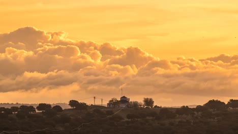 árboles cerca de las nubes en el cielo al atardecer