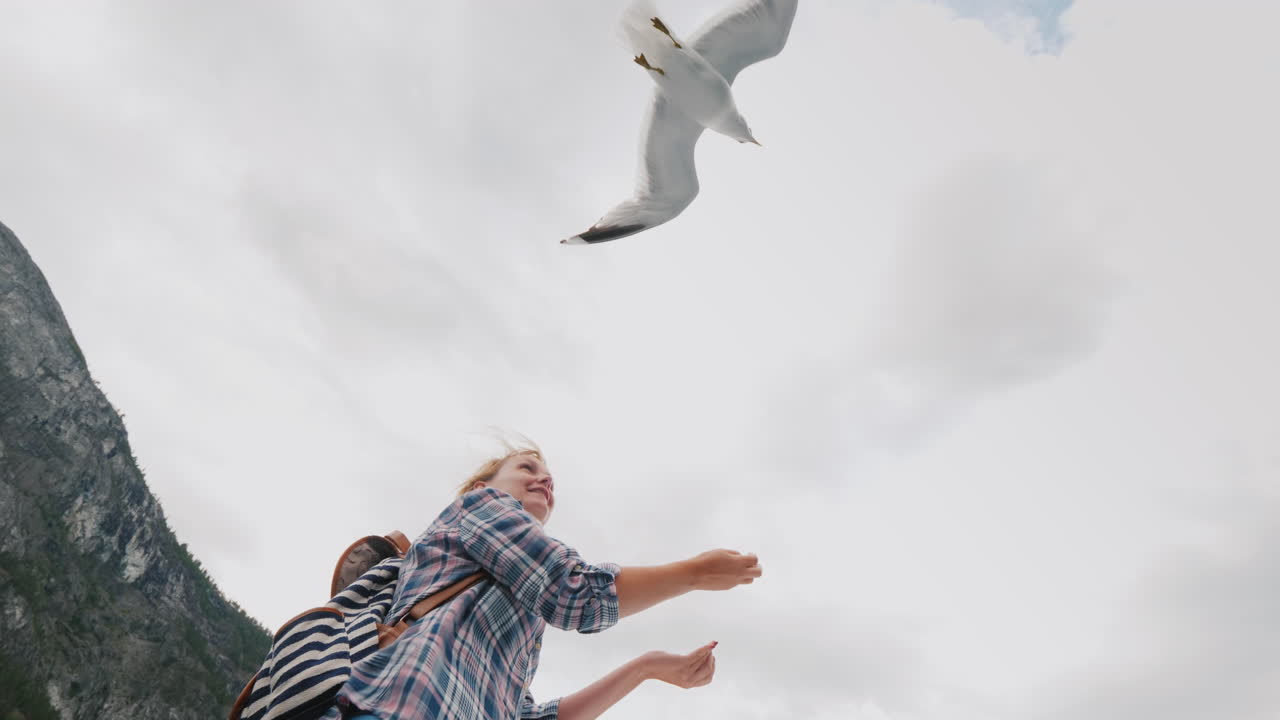 una mujer está alimentando a una gaviota que vuela por confianza y domestica el concepto de viaje a través de los fiordos de ni