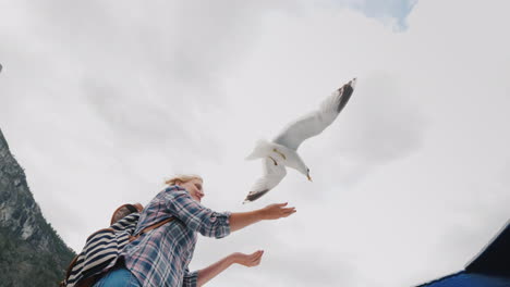 a woman is feeding a gull that flies by trust and tame the concept journey through the fjords of nor