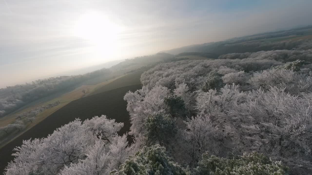 A serene FPV drone flight over a snow-covered winter forest in Germany, capturing the stillness and beauty of the season
