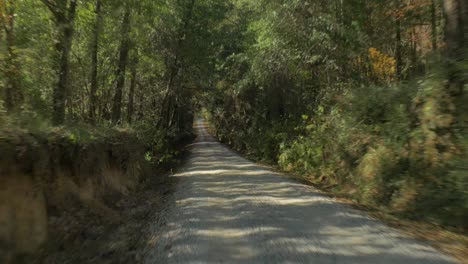 Driving-through-a-forest-on-a-dirt-road