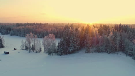 Frozen-landscape-and-coniferous-forest-at-sunset