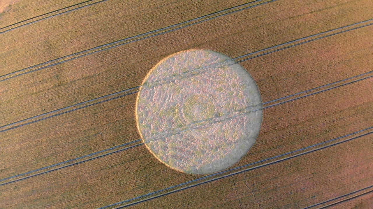 시골 필드에서 작물 원의 공중 조류의 시각 4k