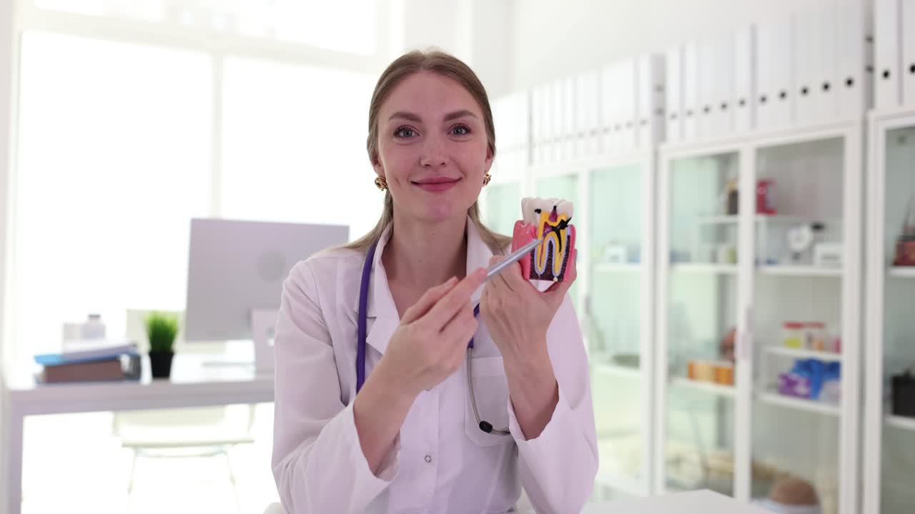 Dentist Explains Root Canal Using Tooth Model