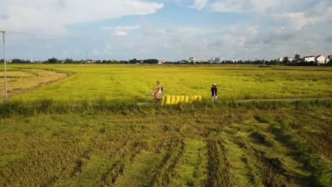 drone footage of vietnam during the wet season