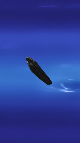 vertical video of oumuamua asteroid interstellar comet visitor to solar system passing by neptune. 3d science space animation.
