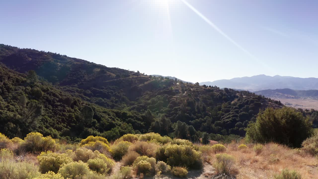 revelación en movimiento hacia adelante del vasto bosque del valle del oso a continuación en california