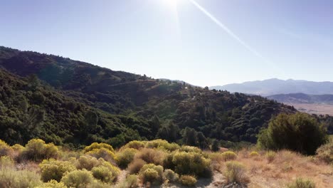 Forward-Moving-Reveal-of-Vast-Bear-Valley-Forest-Below-in-California