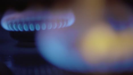 close-up of a fire in a gas stoker on a gas stove