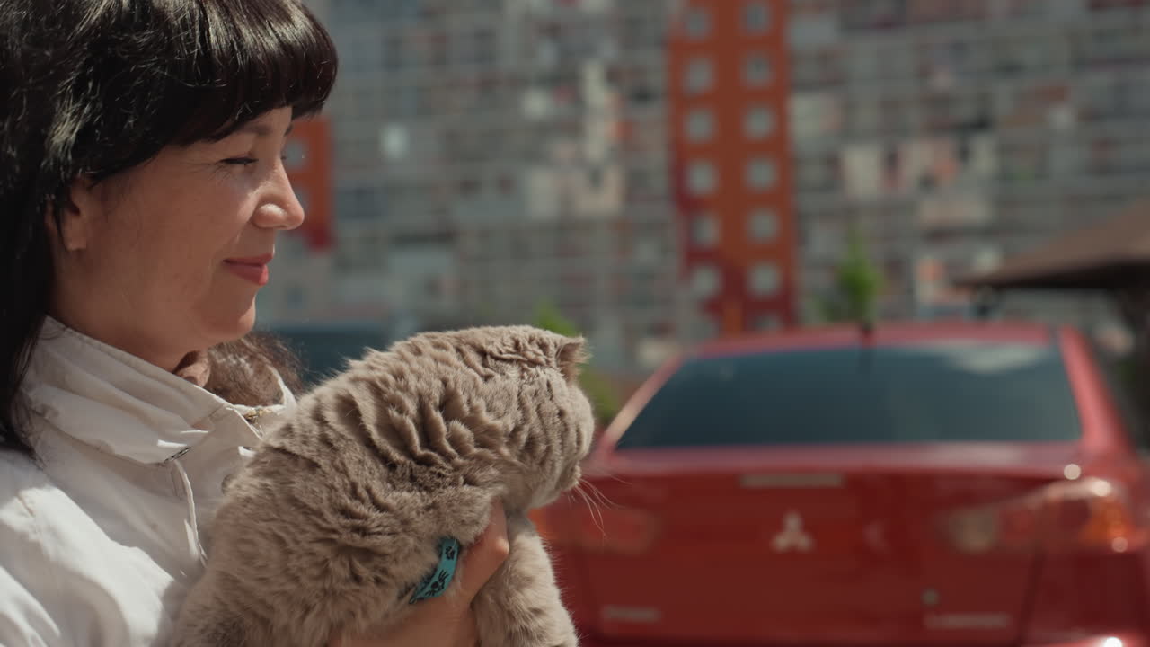 City Woman Holding Feline Nearby Cars, Female Individual Grasps Feline Beside Parked Vehicles, Urban Scene Depicted With Woman Clutching Cat Through Highrise Skyline And Bright Sunlight