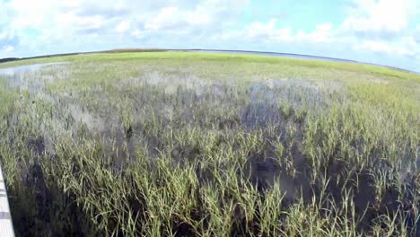 viaje en aerodeslizador en florida marsh
