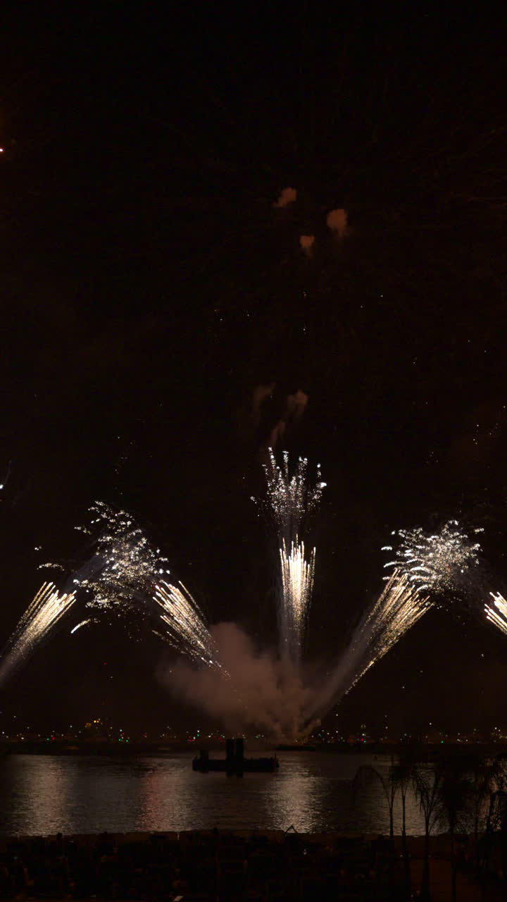 Fireworks on the sky at the Cannes Fireworks Festival at night. Vertical