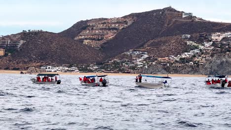 cabo san lucas méxico taxi barcos