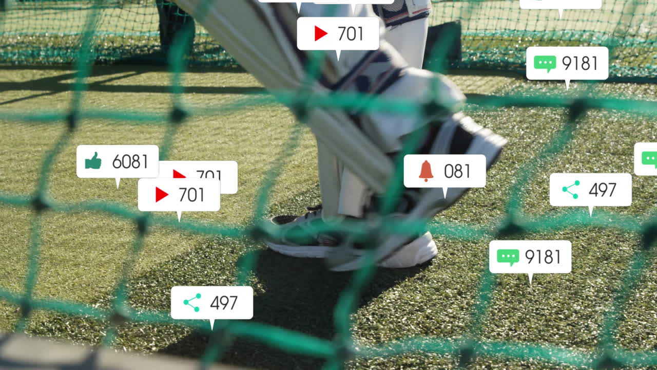 현장에서 크리켓 선수에 대한 디지털 데이터 처리의 애니메이션