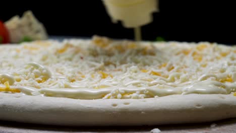 preparing a pizza with cheese and sauce