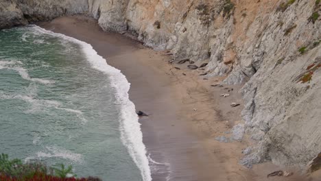 Elefantes-Marinos-Agrupados-En-Una-Playa-Costera-En-El-Norte-De-California