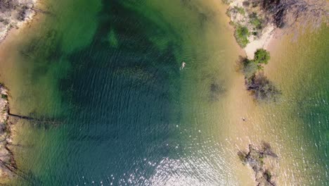 imágenes aéreas cautivadoras que muestran una costa rocosa adornada con árboles secos que rodean un lago azul cristalino en el embalse de whiskeytown, california