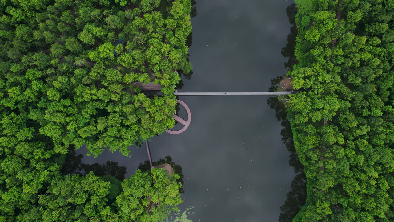 drone que se mueve hacia arriba toma de un denso bosque y lago que reside en pokhara, nepal