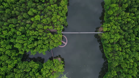 Upward-moving-drone-shot-of-Dense-forest-and-lake-residing-in-Pokhara-Nepal