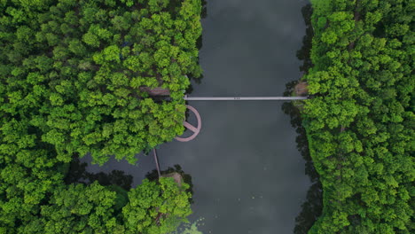 drone que se mueve hacia arriba toma de un denso bosque y lago que reside en pokhara, nepal