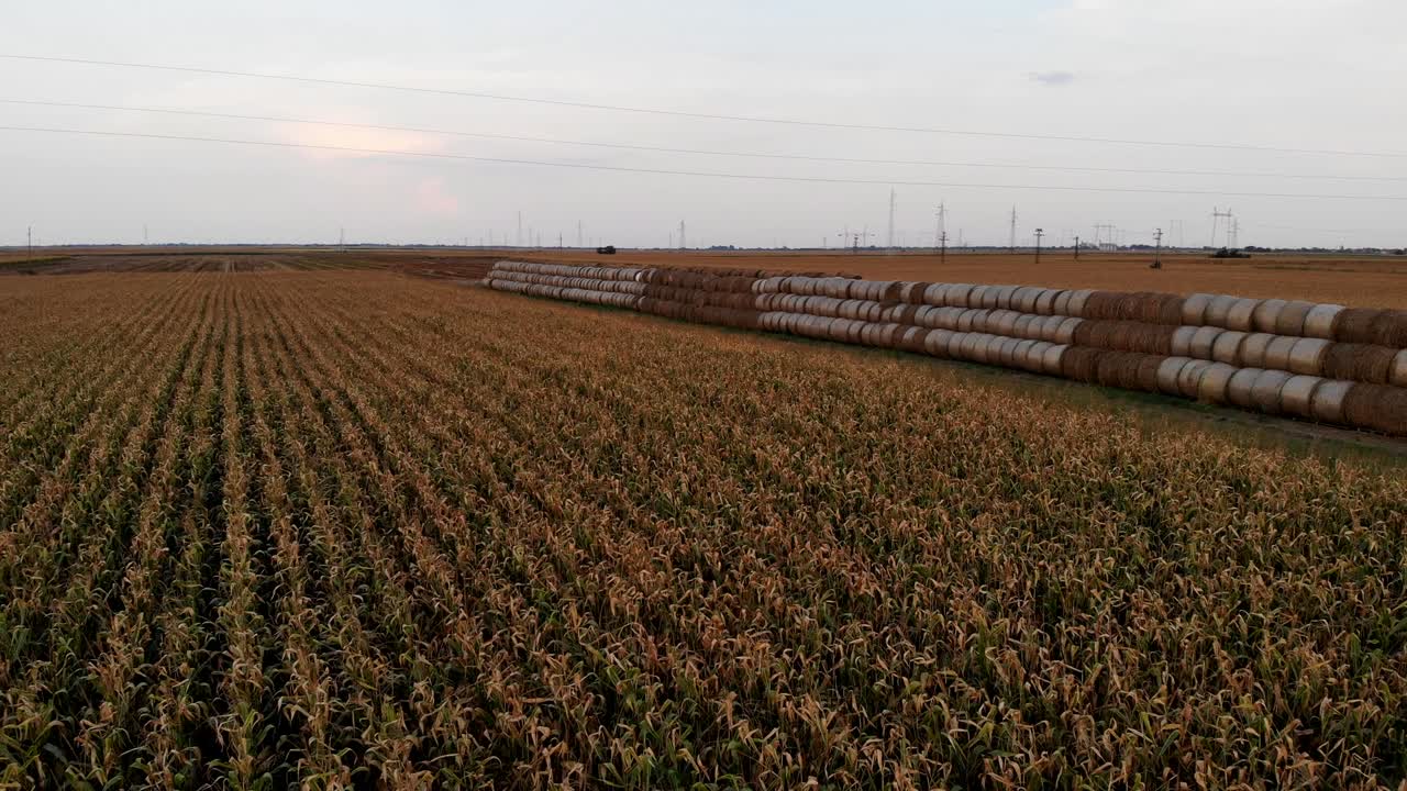 balas de heno de paja de campo de maíz aéreas con postes de electricidad