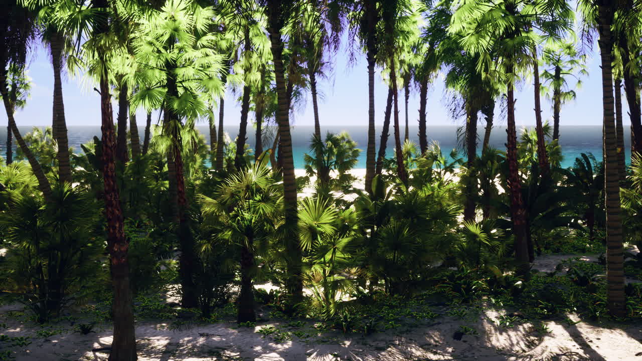 열대 해변 파라다이스: 나무와 바다 풍경