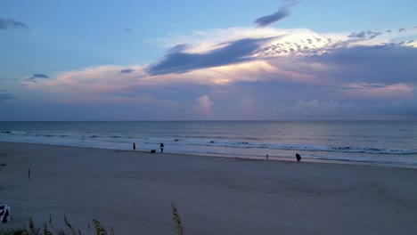 sea oats at sunset aerial flyover at carolina beach nc near wilmington, nc, wrightsville beach and kure beach