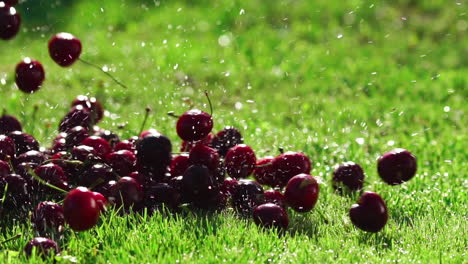 las bayas rojas de las cerezas maduras caen sobre la hierba verde en cámara lenta